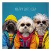 Coola Coola Happy Birthday Dogs Card